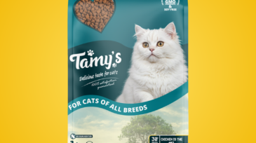 malte-wingen-yellow-new-000